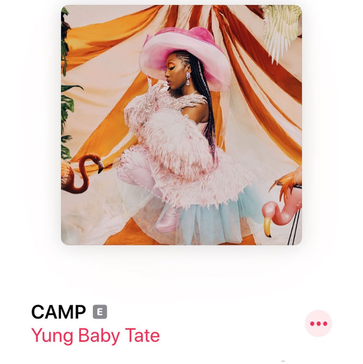 CAMP music artwork featuring Yung Baby Tate in a pink cowboy hat